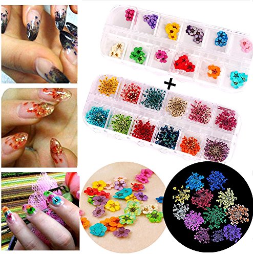 XICHEN 2 Boxes/72PCS Dried Flowers for Nail Art 12-color three-dimensional nail dry flowers （36 Starry plus 36 five flower）