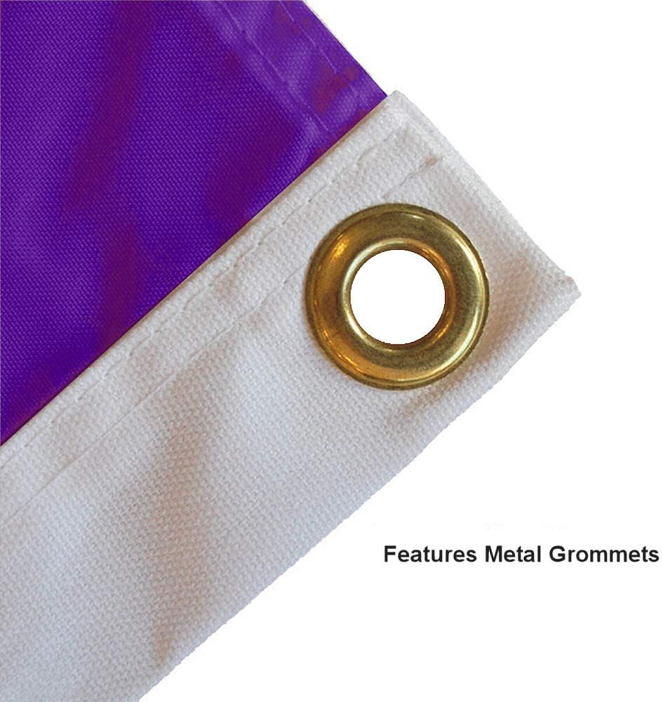 Ashland Eagles State of Ohio Grommet Flag