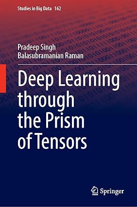 Deep Learning Through the Prism of Tensors (Studies in Big Data, 162)-Wow! eBook