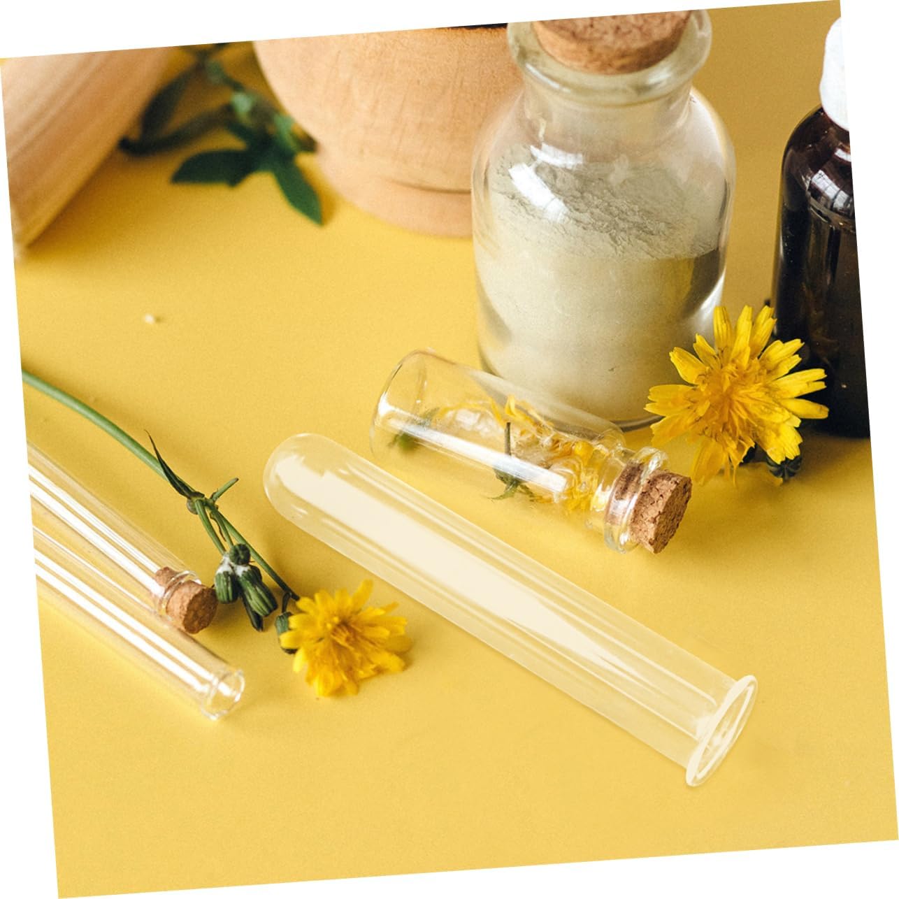 4pcs Elegant Glass Test Tube Vase Hydroponic Plant Propagation Tubes Terrarium Decor Wall Decor Plant Holder for Cuttings