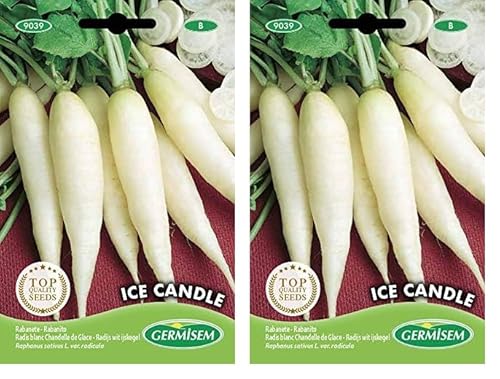 Germisem Ice Candle Semillas de Rábano 8 g (Paquete de 2)