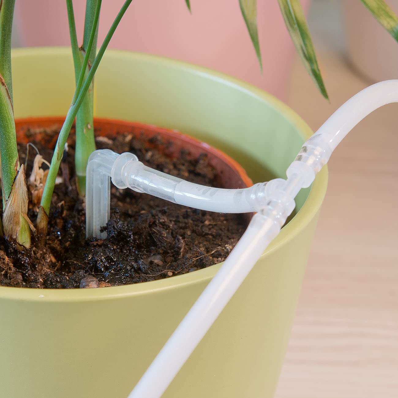 Royal Gardineer Système d'irrigation Automatique connecté pour Plantes d'intérieur BWC-20.app