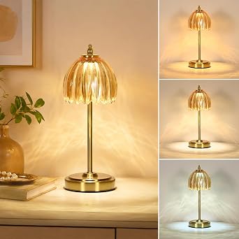NewAoNaSen Glass Tulip Table Lamp, Cordless Rechargeable Table Light -Amber