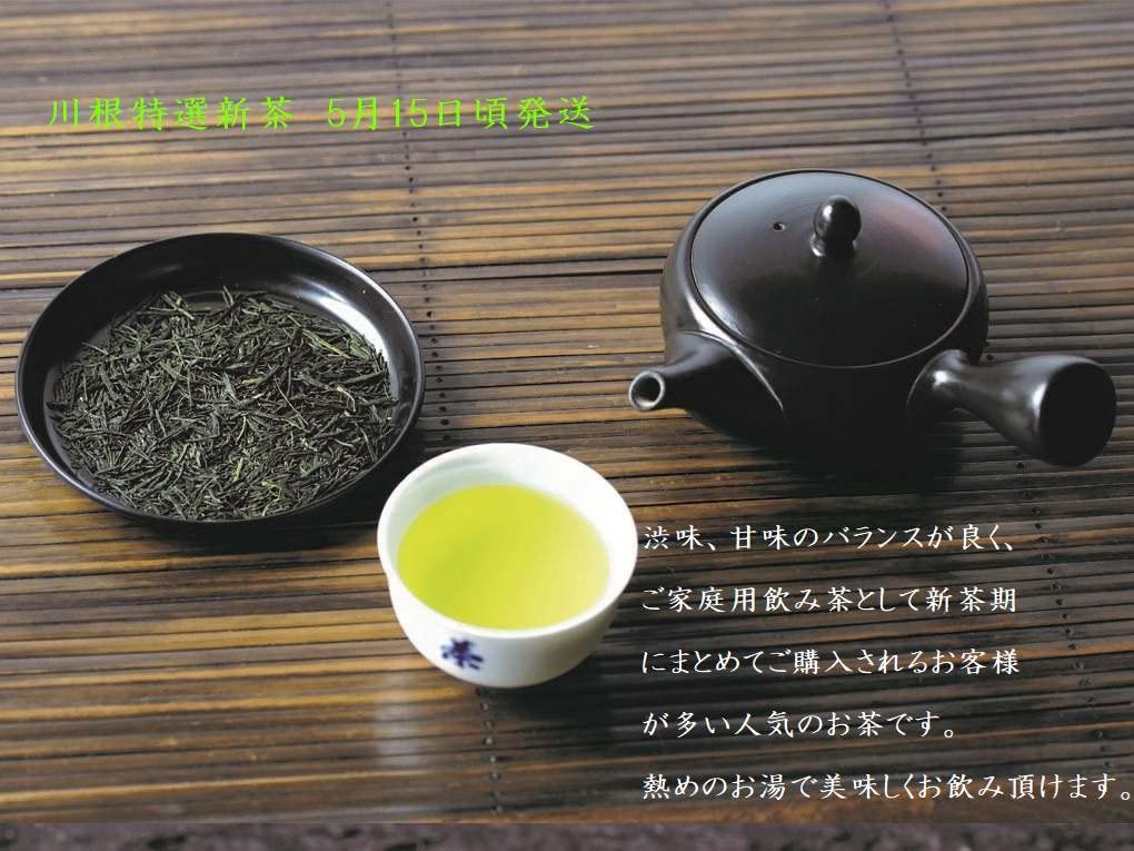 Amazon | 新茶 100g真空パック×3本【自然豊かな茶産地 山あい育ちの 新茶  真空パック 100g✖️2