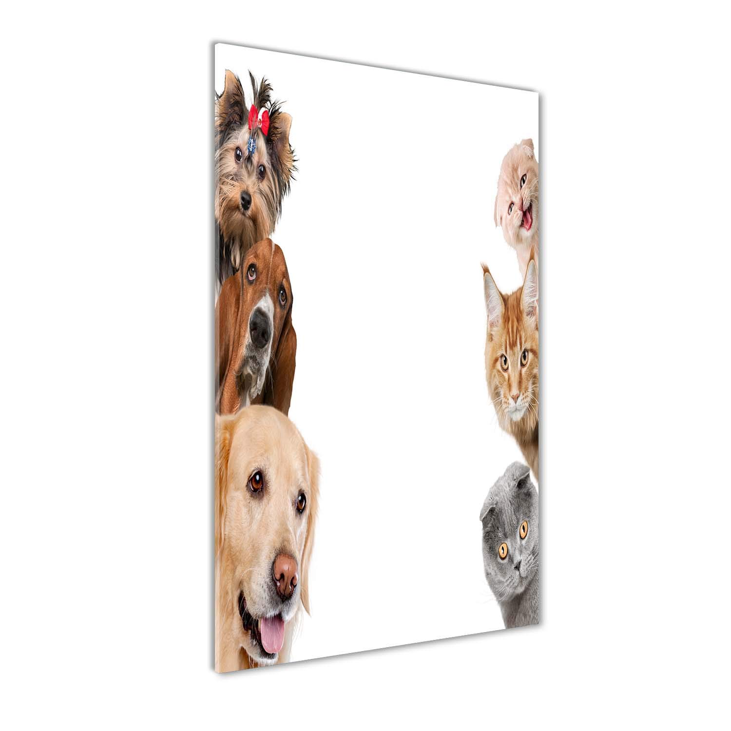 Tableau photo décoratif panoramique sur verre 60x120 cm animaux chiens chats beige