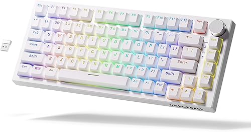 LTC NB831 Teclado mecánico inalámbrico 75 triple modo BT5024GUSB-C con cable intercambiable en caliente teclado compacto Bluetooth RGB de 83 teclas