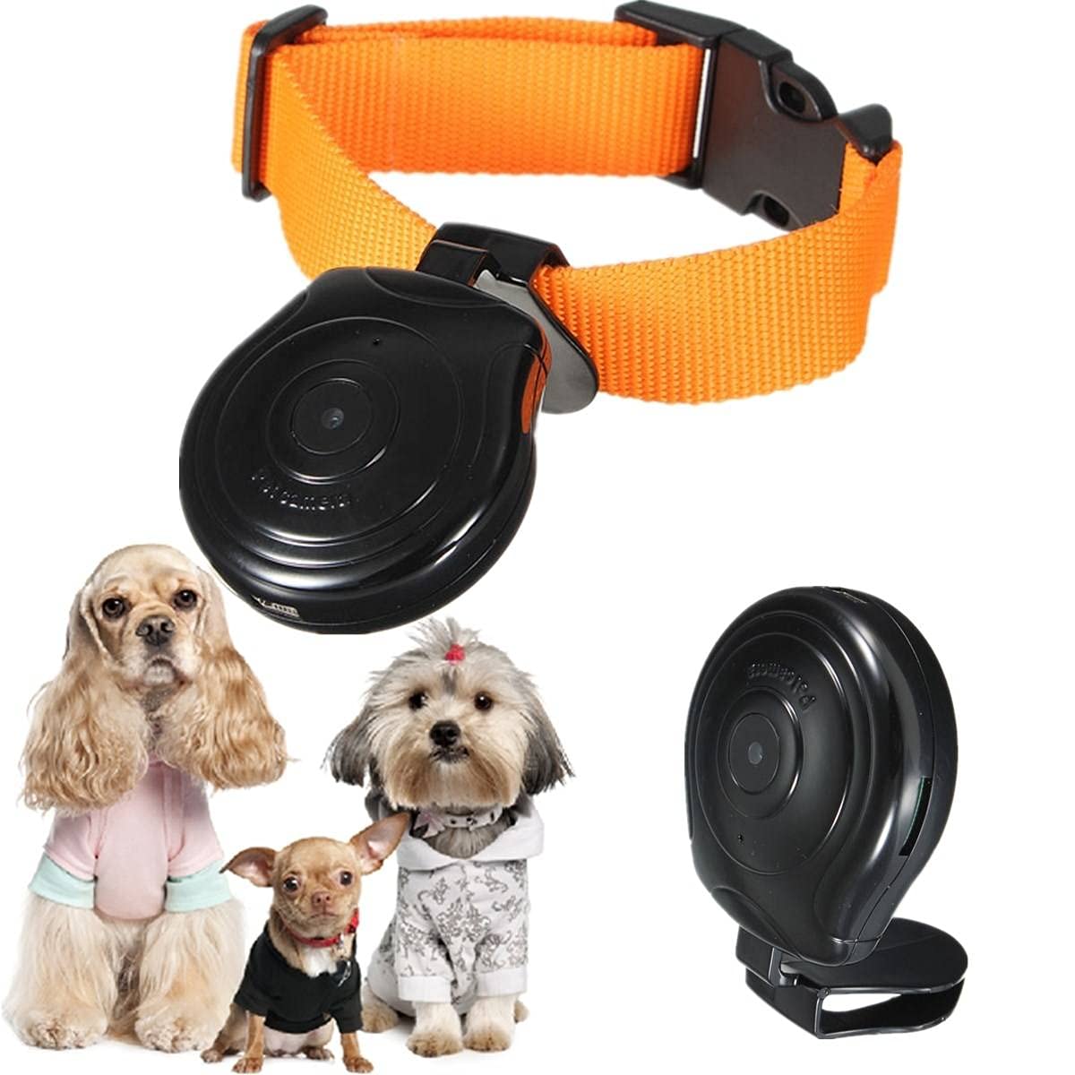 HaiMa Grabadora De Video con Cámara De Collar De Mascota Digital Alta con Pantalla LCD Número De Teléfono Pantalla Camcorde