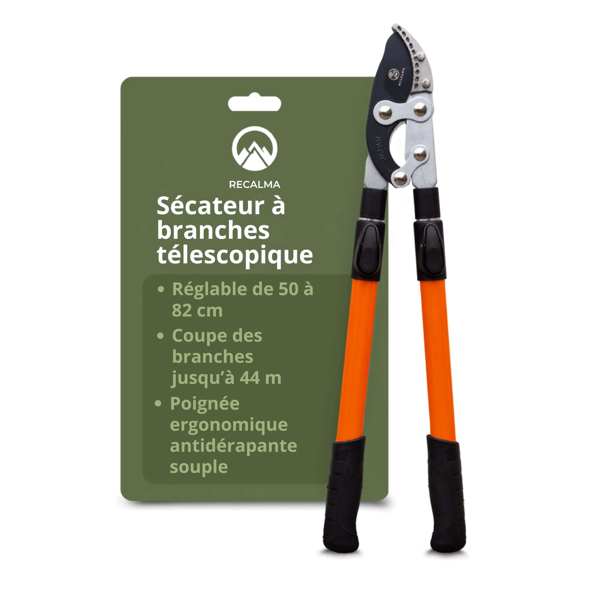 Sécateur télescopique, manche 50-82 cm, acier trempé, coupe branches >44 mm, sécateur réglable avec tête de couteau de requin