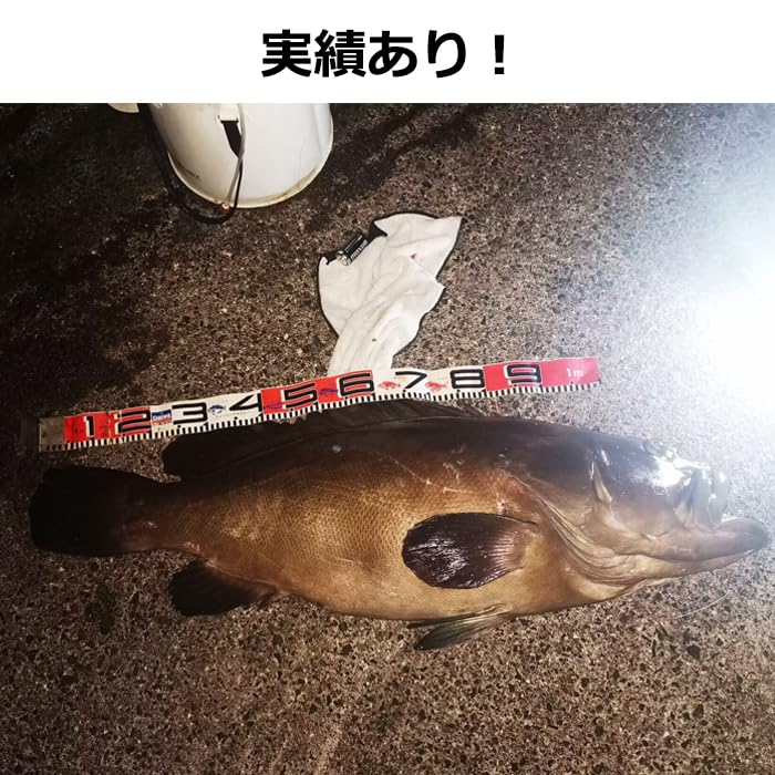 磯ハンター　70号 Amazon.co.jp: PEライン 70号 クエ モロコ アラ 道糸 大物 16本撚り