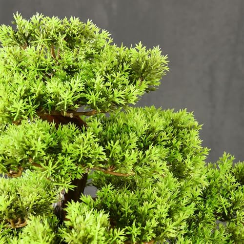Artificielle bonsaï décoration de verdure intérieure et extérieure