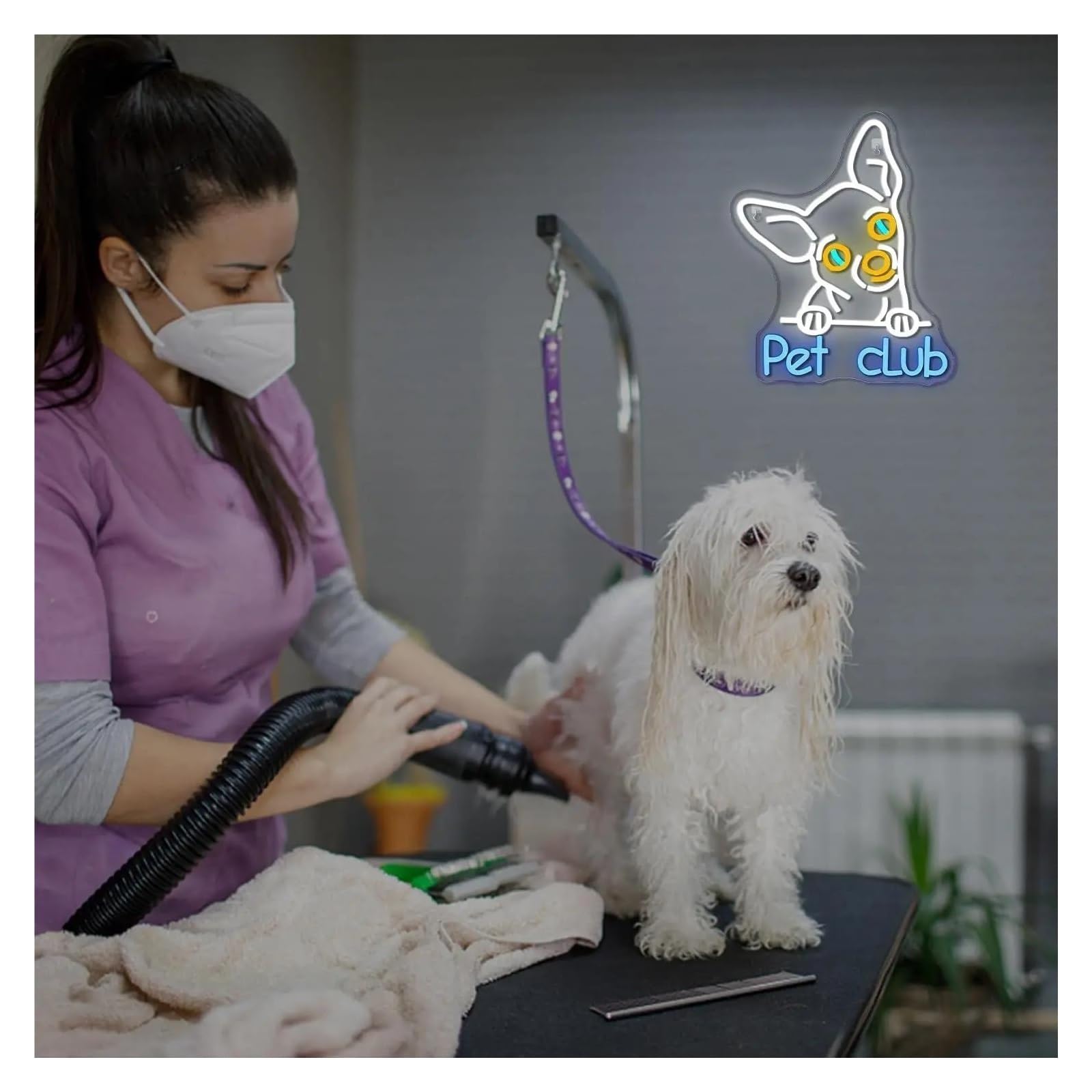 Pet Club per insegna per neon Light per alimentazione per neon