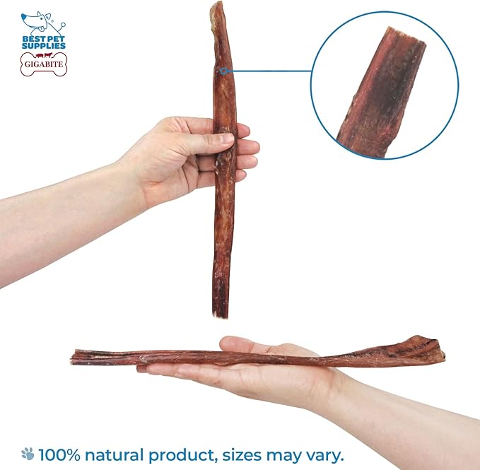 Best Pet Supplies GigaBite 12 Inch Half-cut All Natural Free Range Bully Sticks Dog Treat by - Pack of 10