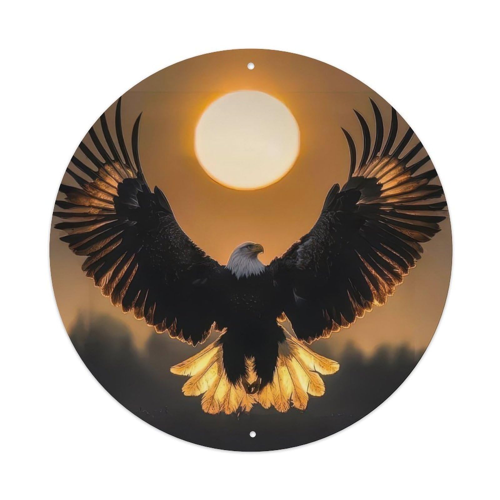 Animal Bald Eagle in Flight with Golden Sunset Wildlife Photography Vintage Metal Tin Sign Plaque Wall Decor for Cafe, Club Bar, Office, Garden Metal Poster 8x8Inch