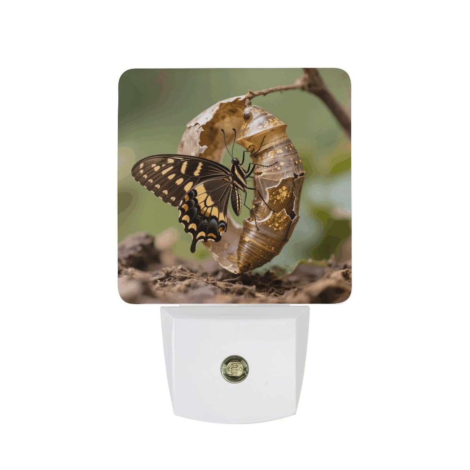 FodPand Night Light Plug Into Wall with Dusk to Dawn Sensor 0.5w Modern LED Monarch Butterfly Eclosion Plug in Night Lamp Warm White Glow Nightlight for Bedroom Hallway Stairs Corridor