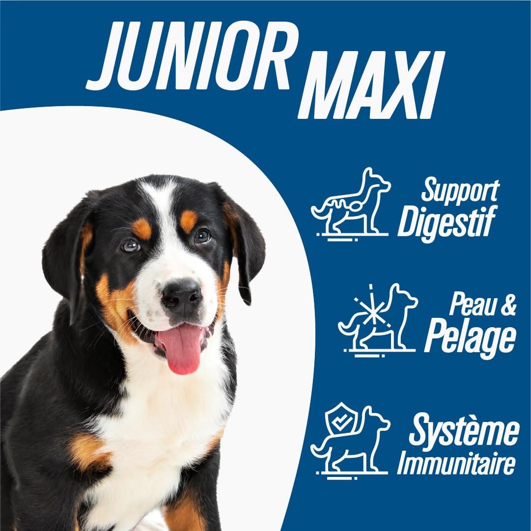 Iso dog - Croquettes Haut de Gamme pour Chiens en Croissance de Grande Race - sans Gluten - Digestion optimale - Riche en Poulet - 14kg - sans OGM - Matières premières 100% Naturelles