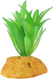 WOONEKY Plantas De Tanque De Peixes Acessórios De Aquário De Peixes Aranha Terrário De Plástico Decorativo Habitats De Répteis Decoração Planta Falsa Para Suprimentos De Aquário De