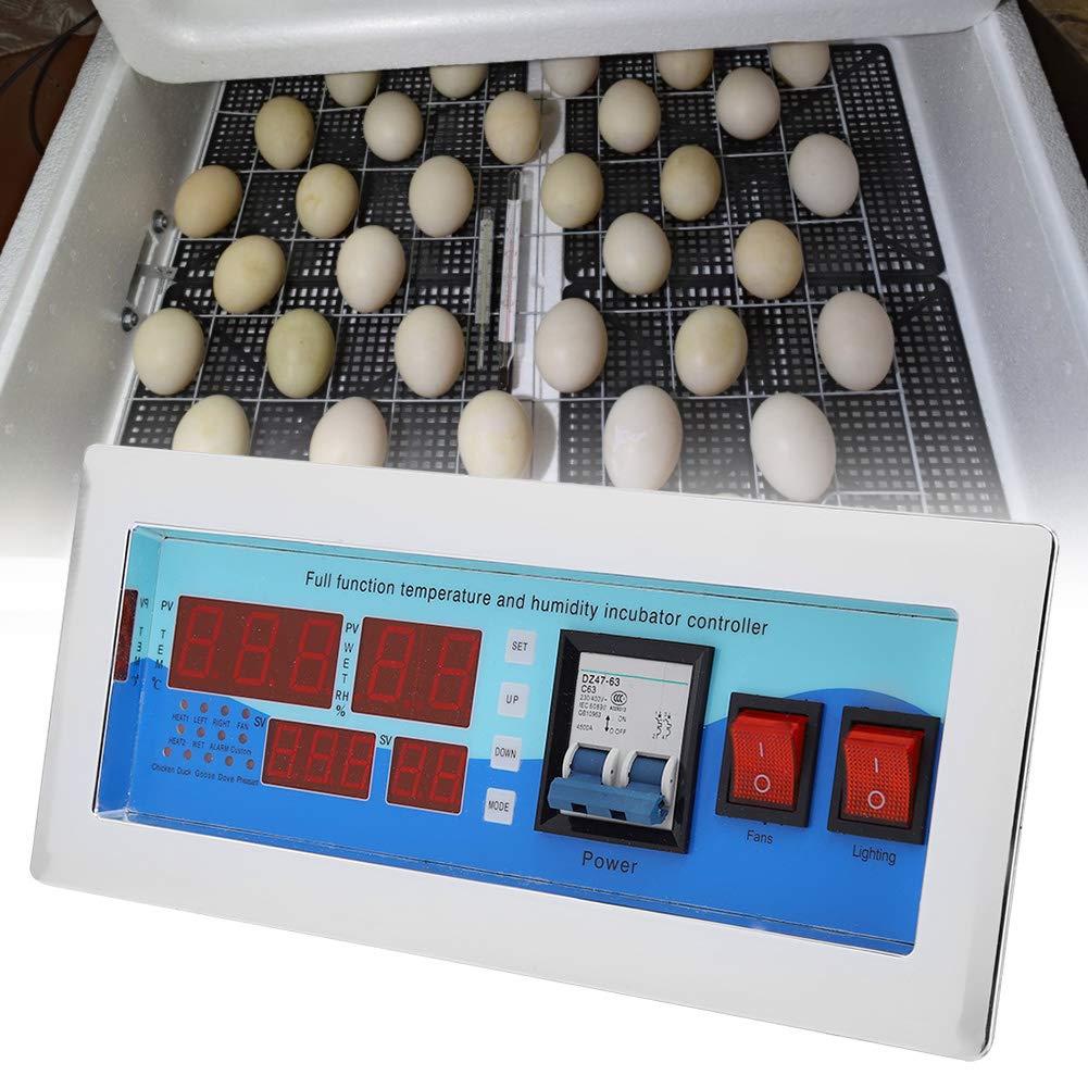 Controller per Incubatrice Blue Egg per Polli