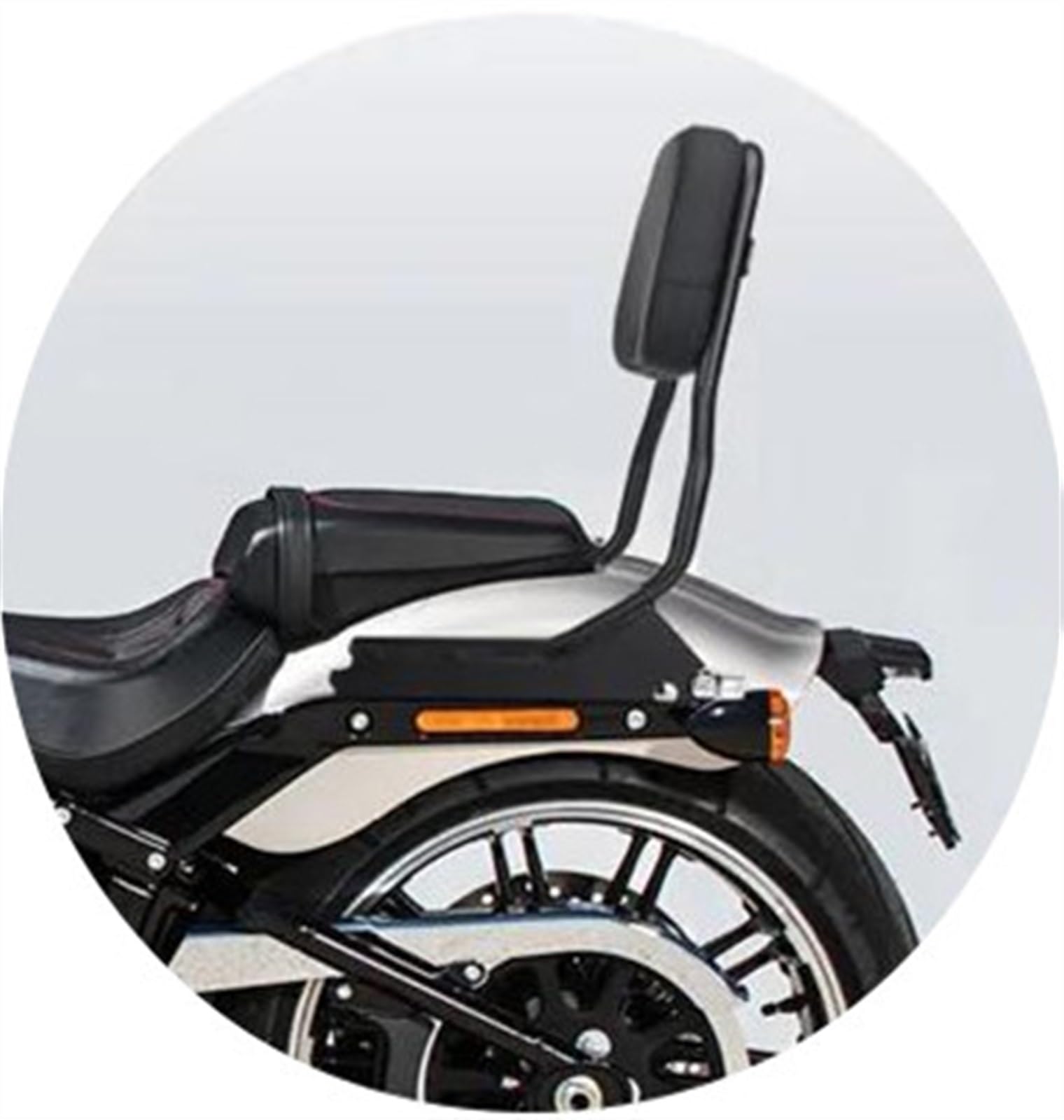 BAYDE Nero Moto Sissy Bar Schienale Verticale per Harley Softail 2018 2019 2020 2021 2022 Cuscino Rimovibile dello Schienale