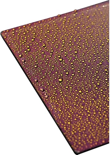 Miniatura 3 de Haida NanoPro HD3460 - Filtro de vidrio óptico de 3.937 in x 5.906 in MC de grado inverso ND 1.2 4 paradas 100 ND16 densidad neutra