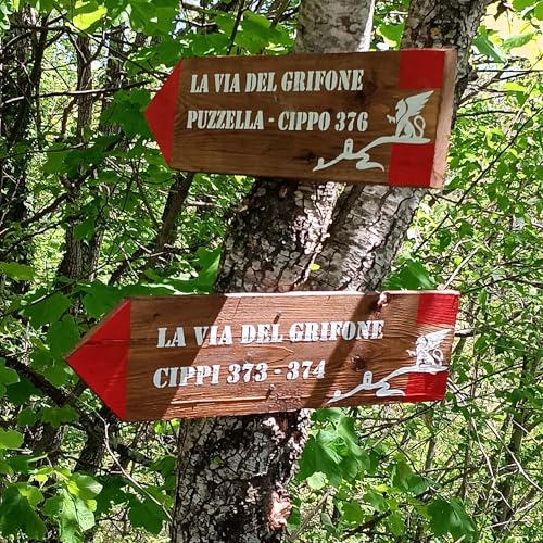 Couverture de I cippi raccontano