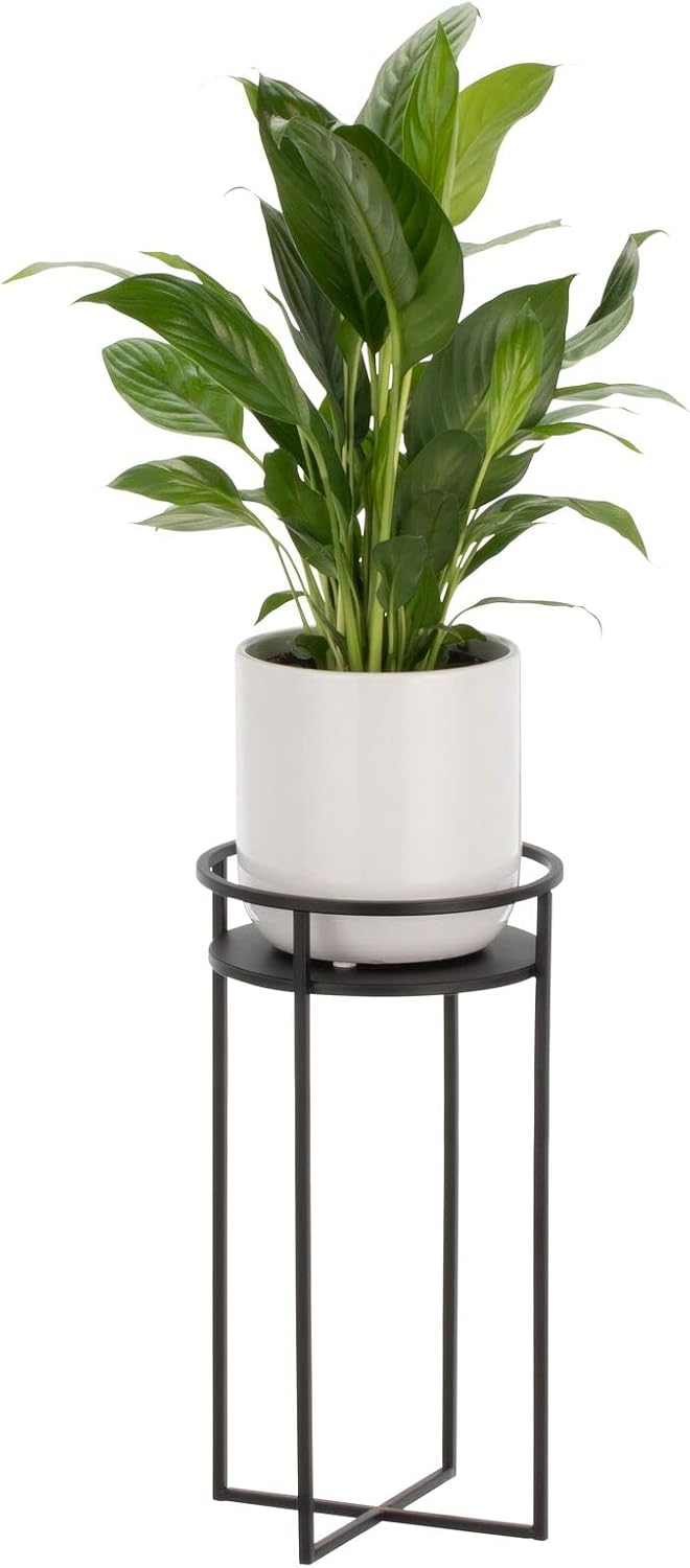 mDesign Mid Century Planter Indoor/Outdoor Modern Plant Stand for Flowers, Greenery, Succulents, Vases and Pots - Metal Steel Design - 12" Tall - Matte Black