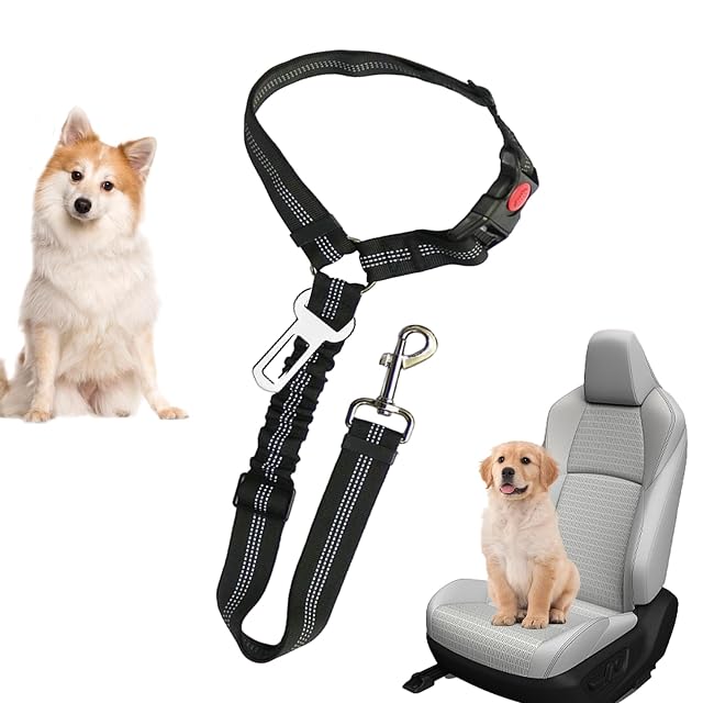 Foto 7 de 8 de Arnés de Cinturón de Seguridad para Perro,Cinturón de Seguridad para Coche para Perro