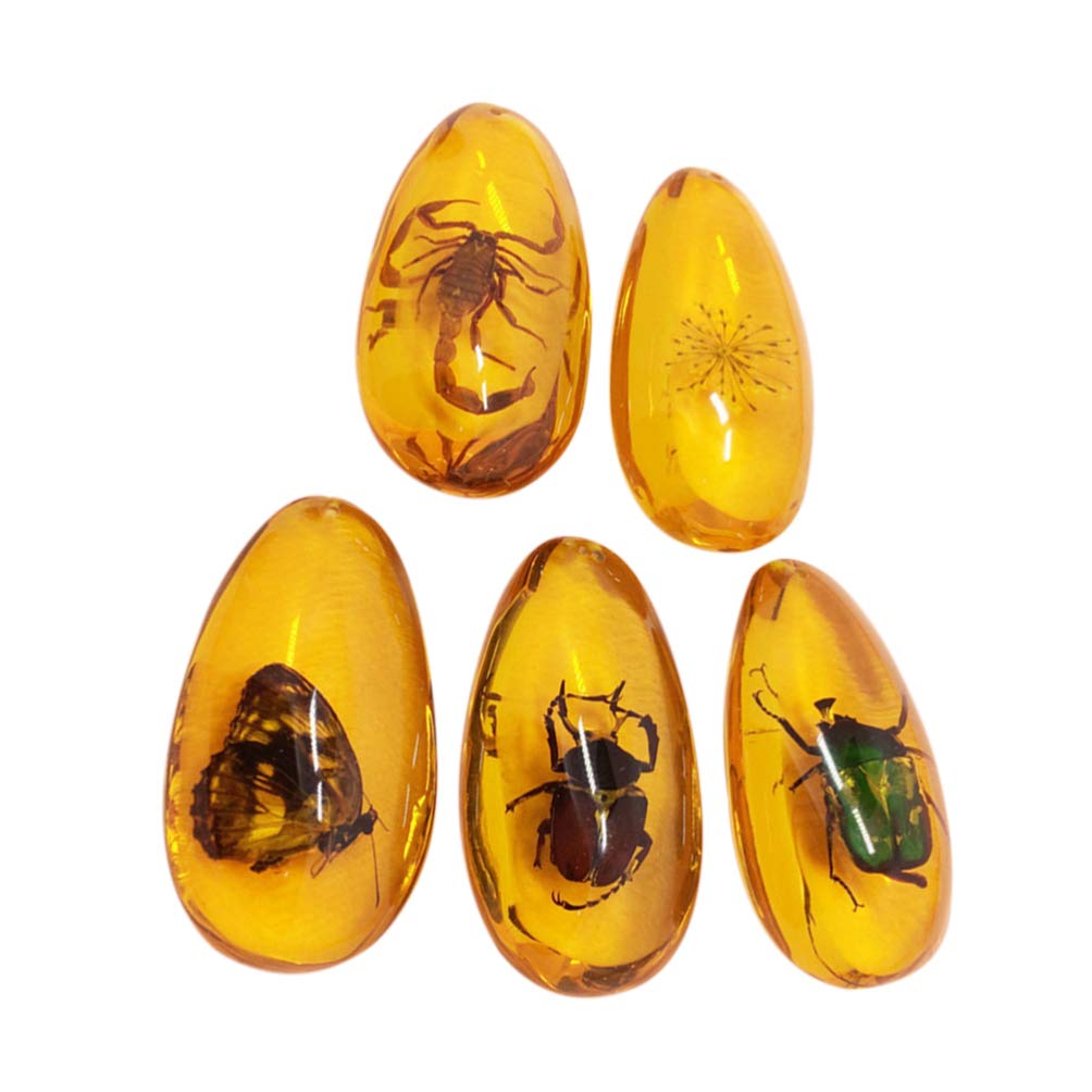 LIOOBO Fósil Ámbar con Muestras de Insectos Piedras Especímenes de Cristal Colección de Decoradores para El Hogar Colgante Ovalado para Niños (Patrón Aleatorio)