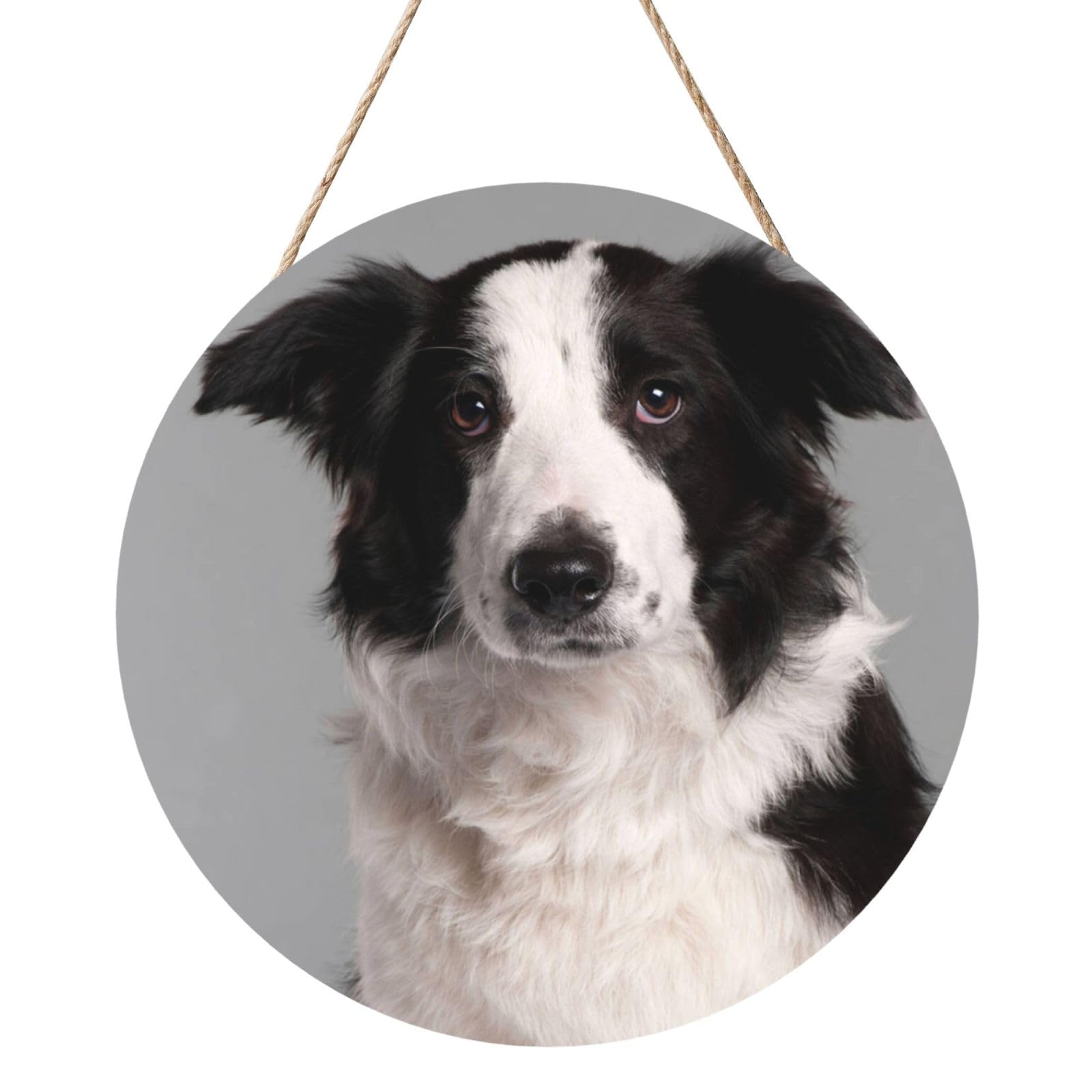 InOmak Border Collie, Round Wood Panel Painting 12 in, Wall Hanging Painting For Home