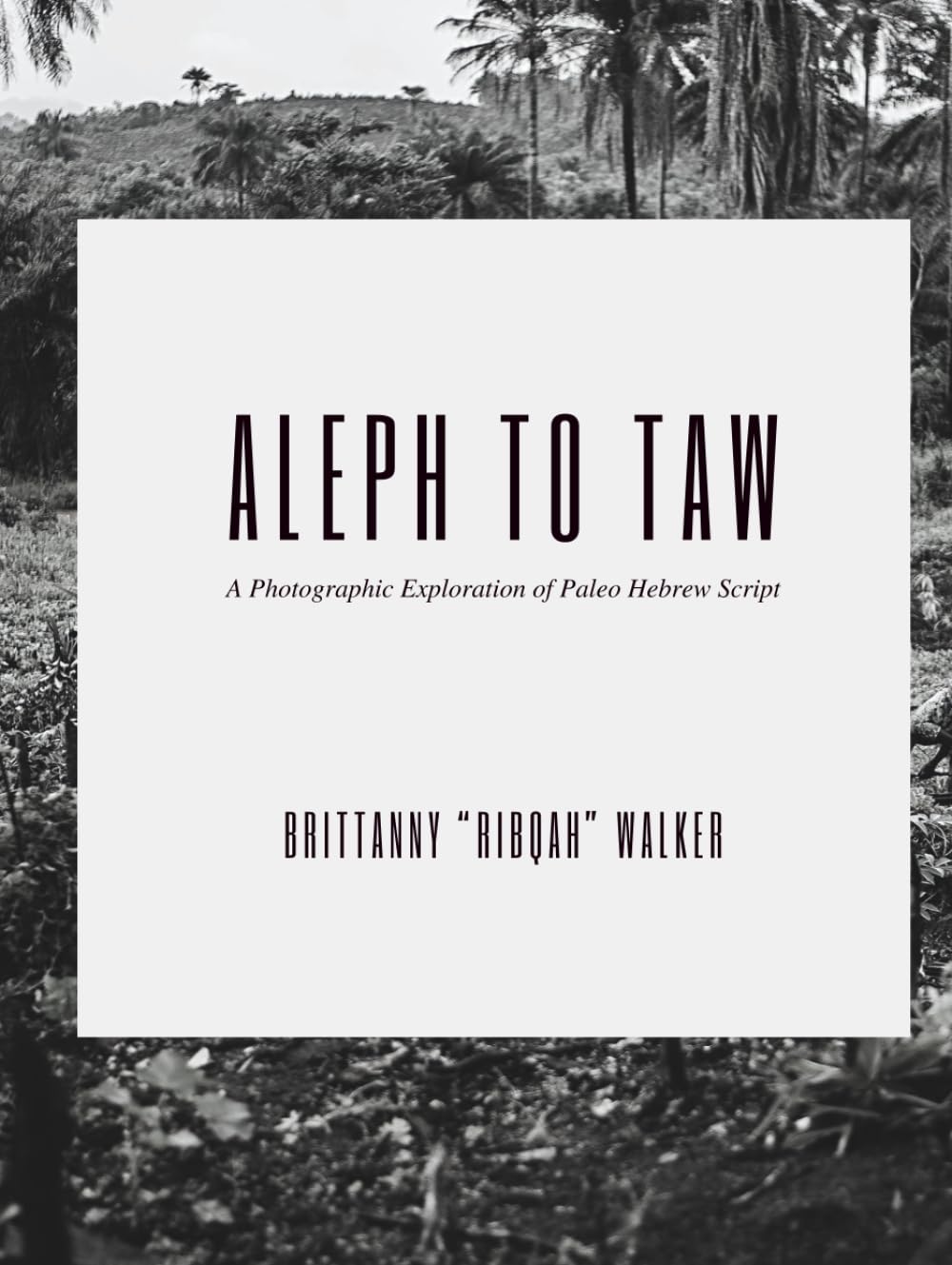 Aleph to Taw: A Photographic Exploration of Paleo Hebrew Script