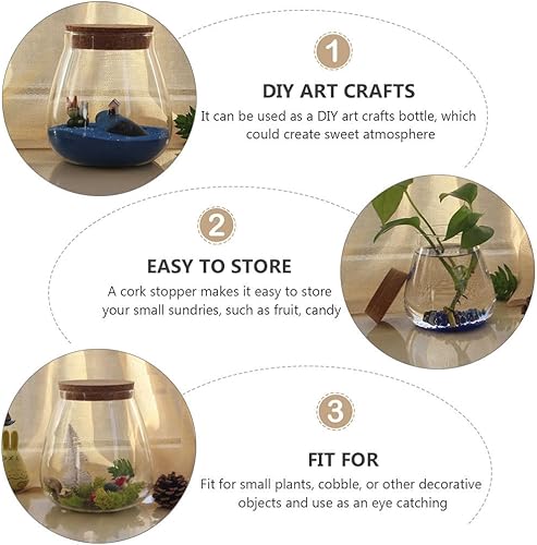 Miniatura 3 de HOMSFOU Tarro redondo de vidrio para plantas, terrario, maceta suculenta de mesa, bolas de musgo, florero, botella de deseos, tarro de galletas de