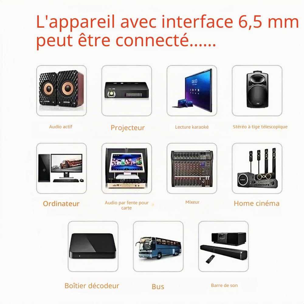 Micro Dynamique Karaoké Microphone à Main Micro Haut Parleur Vocal Dynamique Cardioïde Portable Jack 6,5mm XLR Pour Enfants Adultes Chanter Discours Mariages Activités Band Streaming KTV Podcast Etc