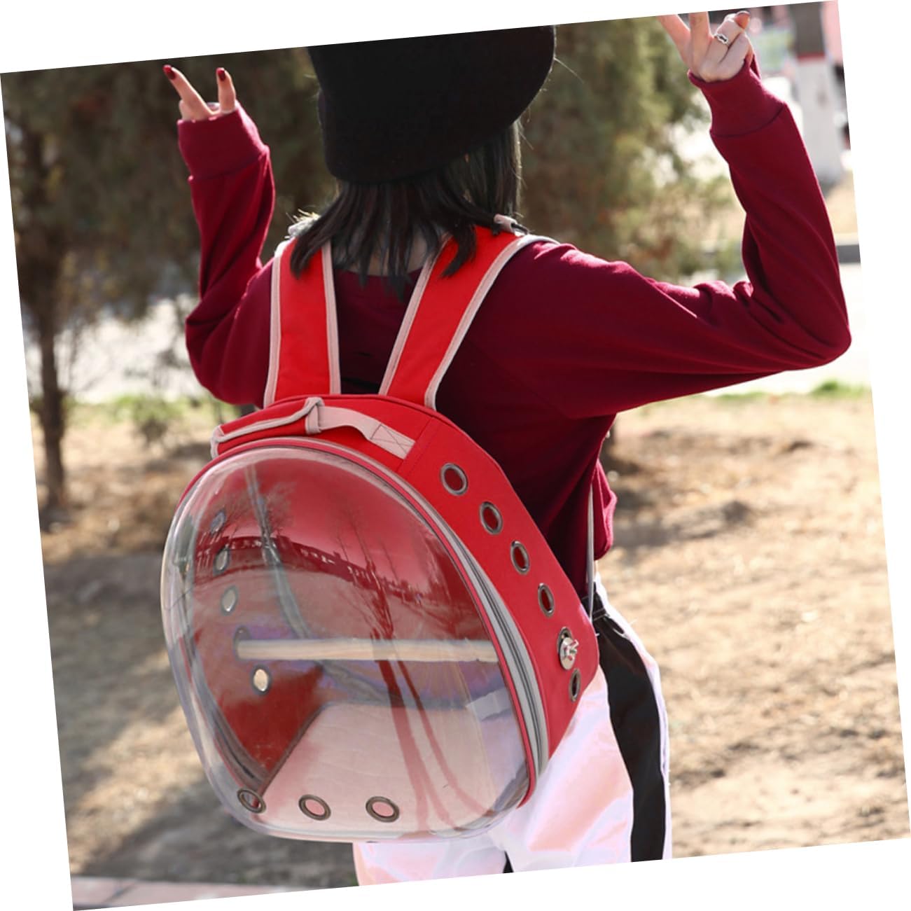 Portable Pet Backpack for Birds Breathable Capsule Carrier Ventilation and Inner Wooden Bar for Outdoor Travel Red Transparent Parrot Bag