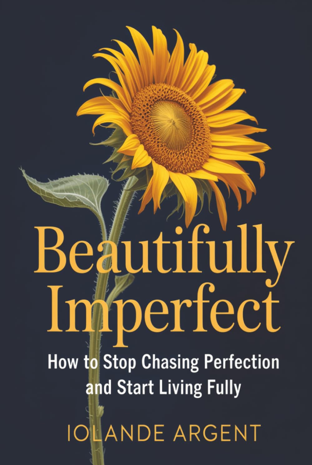 Beautifully Imperfect: How to Stop Chasing Perfection and Start Living Fully | 167 pages | Body Positivity | Self Esteem | Self Worth | 6x9 Size