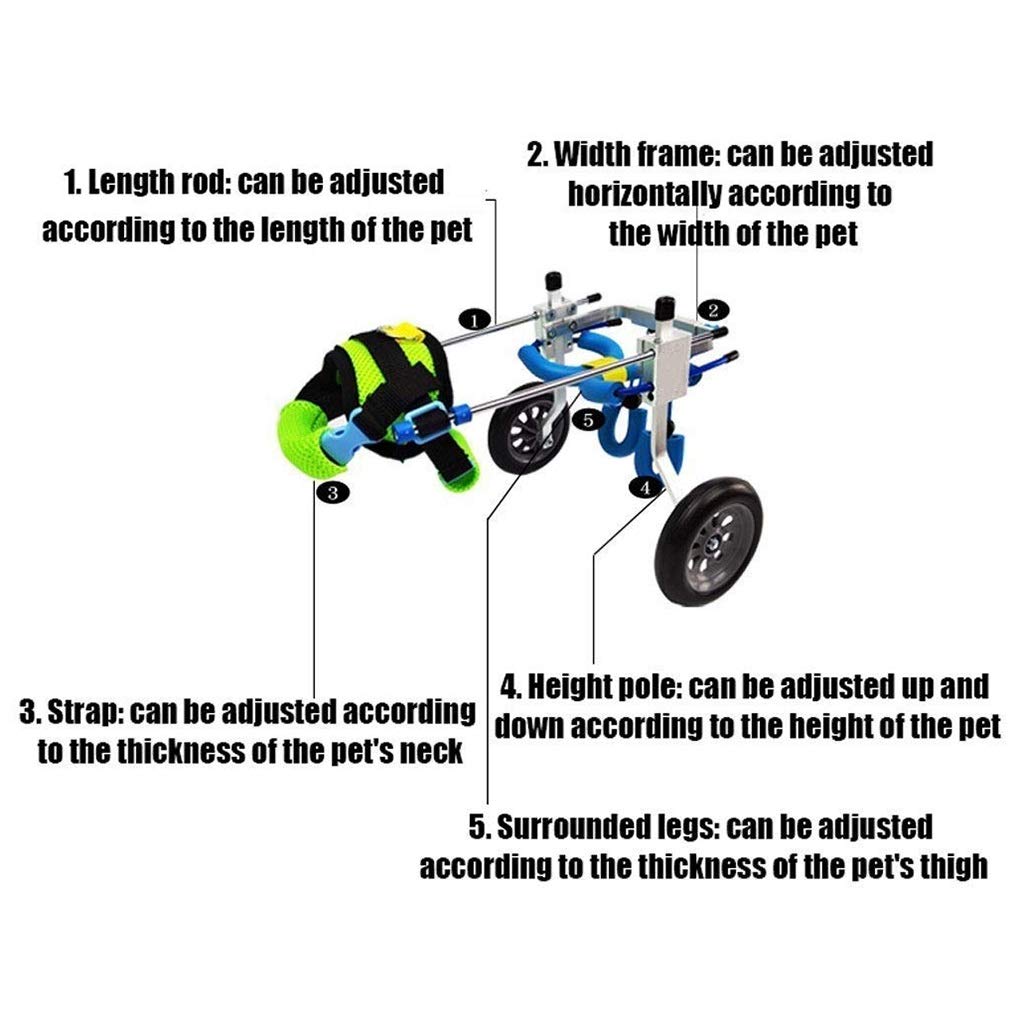 Sedia a Rotelle per Cani Cura dell'Anca e delle Articolazioni Scooter Portatile per Cani Veicolo di addestramento per la Riabilitazione delle Zampe Posteriori per la Riparazione delle Gambe