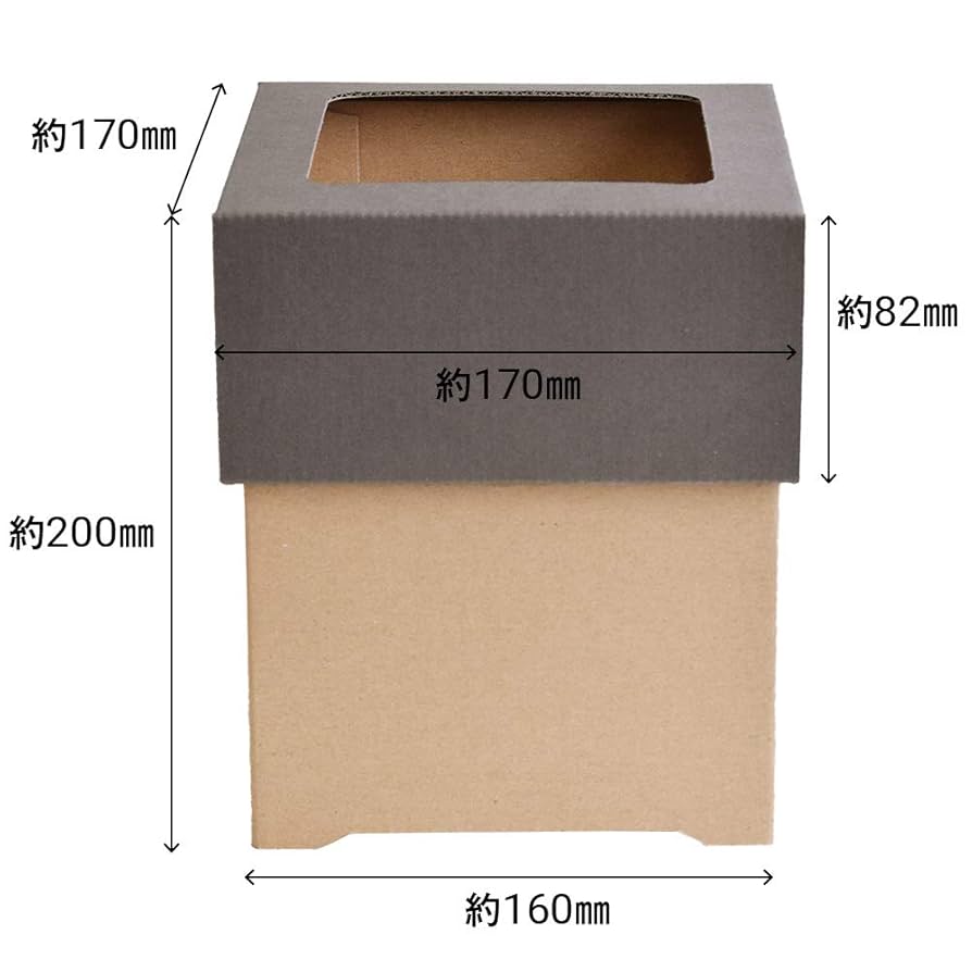 Amazon｜yamapac ダンボールダストボックスミニ フタ付き 3個