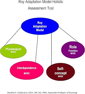 Roy Adaptation Model Holistic Assessment Tool