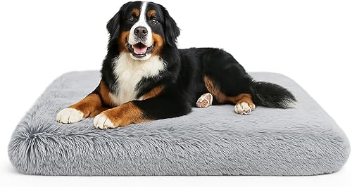 Cama para perro, camas para mascotas (grande)  Calidad premium, cama para perro, lavable y portátil, varios tamaños, diseño elegante, funda