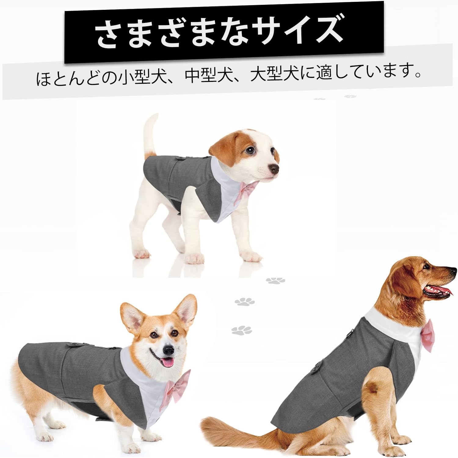 Amazon | QUEENMORE 犬用コスチューム ペットスーツ タキシード ドッグ