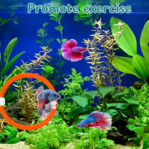 Image of Betta Mirror Enrichment Fish Toys Stimulation, 2 pcs Exercise Feeding Rings And Training Mirror With Floating Ball Toy, Betta Fish Tank Accessories, Small Aquarium Tank Decoration (Orange, M)