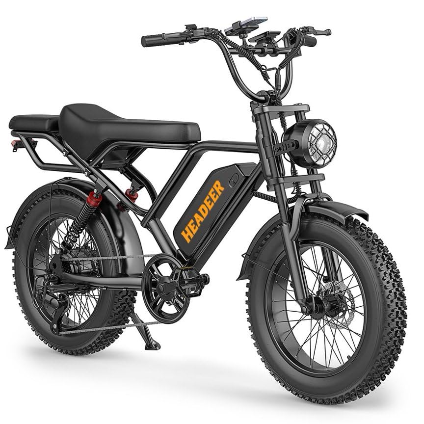 BK20 Elektrofahrrad für Erwachsene, 20 x 4,0 Zoll Breite Reifen