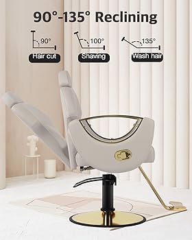【WOOHWA】SILKY RELAX PT Amazon.com: MIMWOW Salon Barber Chair, Reclining Salon Chair