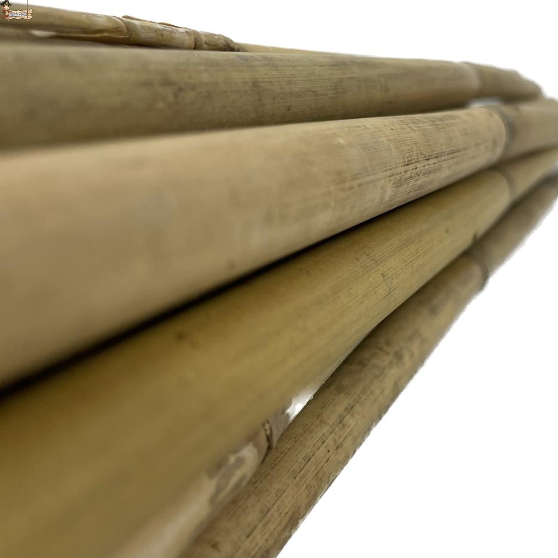 BricoLoco.com Tutores de Madera para Plantas. 25 uds. de 1,80 MTS. Caña Varilla Tutor caña de bambú Redondo para Soporte, guiar y entutorar árboles, Plantas, Tomates. (25, 1,80 MTS, Ø 16/18 mm)
