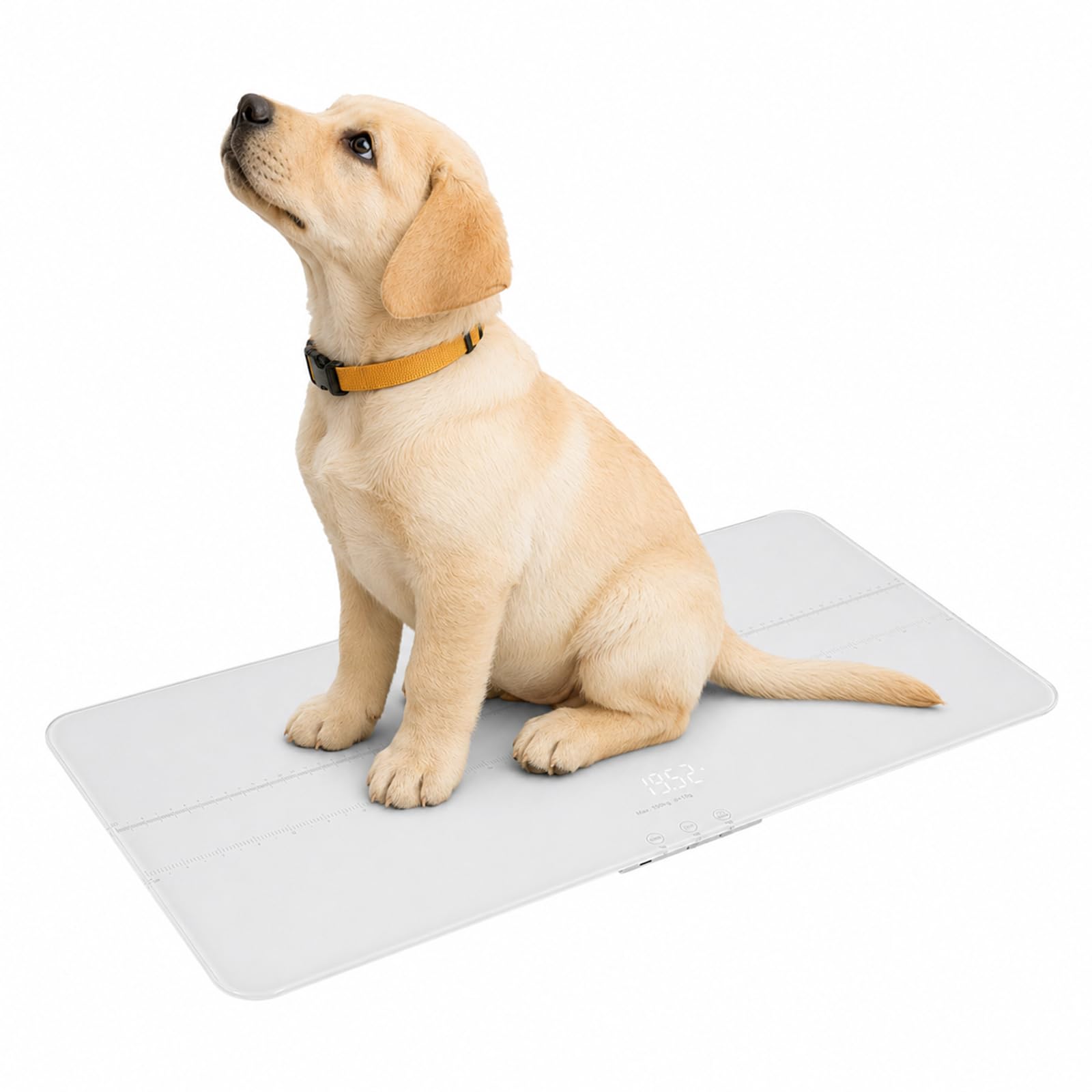 Digitale Haustierwaage - Hundewaage bis 100 kg 10 g Genauigkeit, große Plattform LCD-Anzeige 3 Wiegemodi Tara-Funktion Tierwaage für Hunde Katzen und Kleintiere (Weiß)