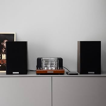 真空管アンプ SWL-T20U スピーカーセット 特典付き Amazon.co.jp 真空管アンプ SWL-T20U スピーカーセット 特典付き Amazon.co.jp