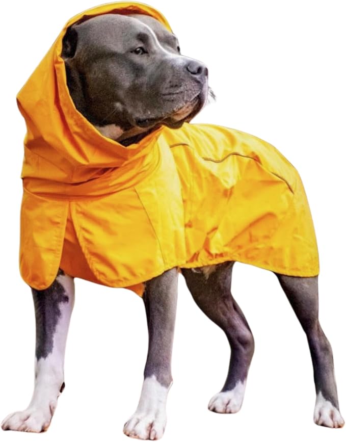Sparks Paw Dog Raincoat