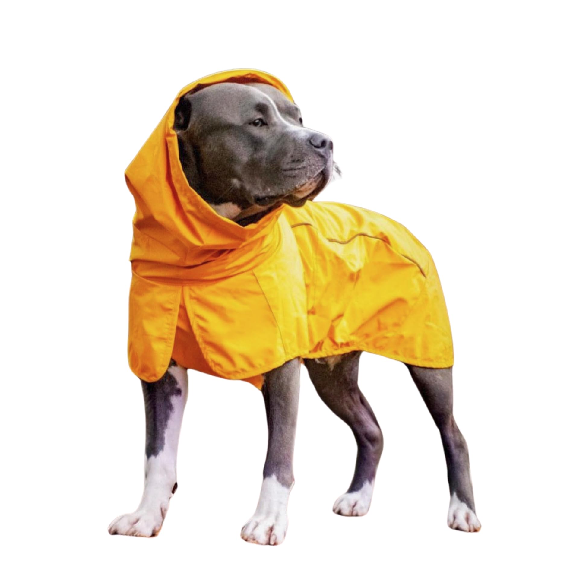 Spark Paws Dog Raincoat, Waterproof Windproof Rain Jacket, for Small Medium Large Extra Large Dogs, Reflective Breathable Full-Body Coverage Dry Suit