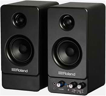 Roland スピーカー 76cm 高さ 61wYAIpk3IL._AC_UF350,