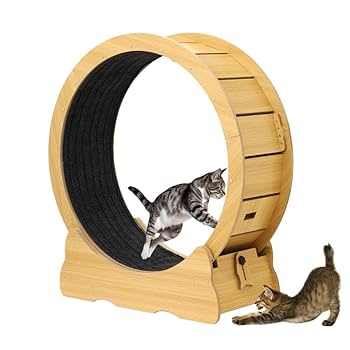 猫足ライティングビューロー ※8月上旬までの出品予定 猫足ライティングビューロー ※8月上旬までの出品予定