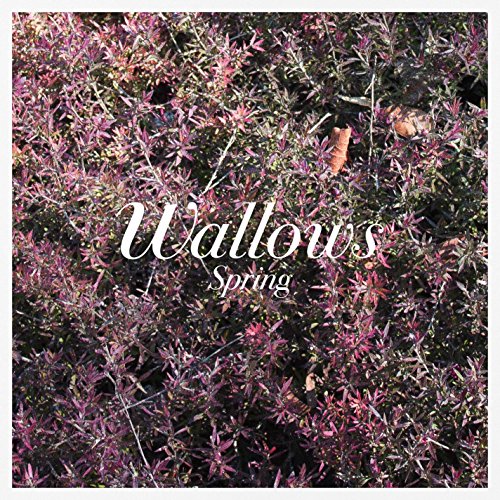 Wallows