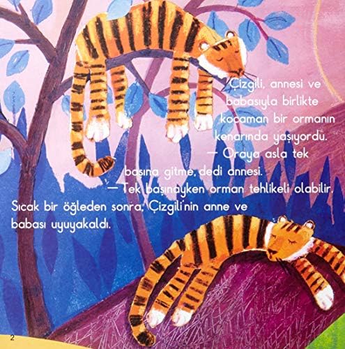 Çizgili - Görsel 3